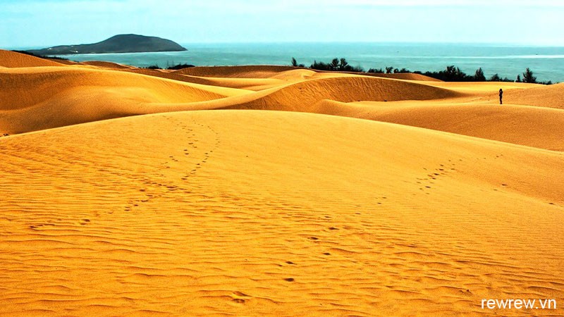 Sand Dunes Dalat Easy Riders To Mui Ne Tour