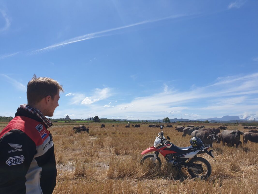 Vietnam Easy Riders – Rew Rew Adventures