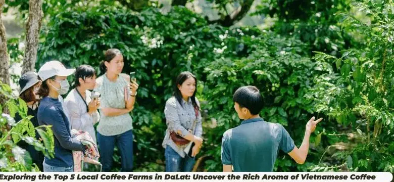 Discover the Best Dalat Coffee Farm Tour with Rew Rew Adventures