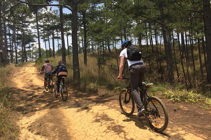 Experience Thrilling Dalat Mountain Biking with Rew Rew Adventures