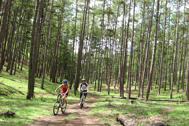 Experience Thrilling Dalat Mountain Biking with Rew Rew Adventures