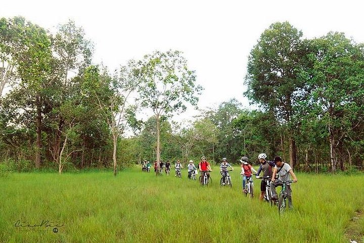 Experience Thrilling Dalat Mountain Biking with Rew Rew Adventures