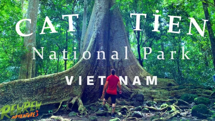 Easy Rider motorbike tour from Ho Chi Minh City to Da Lat through Cat Tien National Park – jungle trekking, waterfalls, and scenic highlands