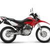 Hoi An Motorcycle Rental: Your Ride