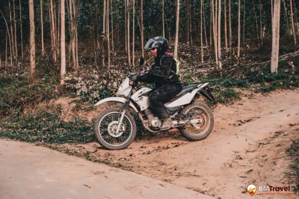 Discover the Thrills of Exploring Dalat – Your Ultimate Dalat Motorbike Rental Experience