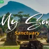 Overview of My Son Sanctuary, showing multiple Champa temple complexes surrounded by jungle foliage, for a Da Nang tour.