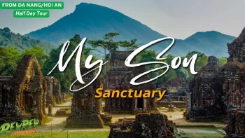 Overview of My Son Sanctuary, showing multiple Champa temple complexes surrounded by jungle foliage, for a Da Nang tour.