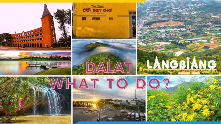 Scenic view of Dalat city from above, highlighting pine forests and French colonial villas.