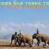 A motorbike on a scenic road surrounded by lush coffee plantations on the 3-day Nha Trang to Dalat Easy Rider tour