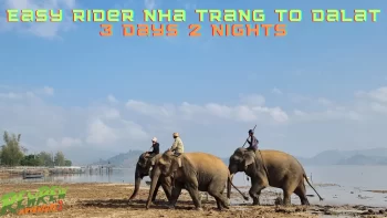 A motorbike on a scenic road surrounded by lush coffee plantations on the 3-day Nha Trang to Dalat Easy Rider tour