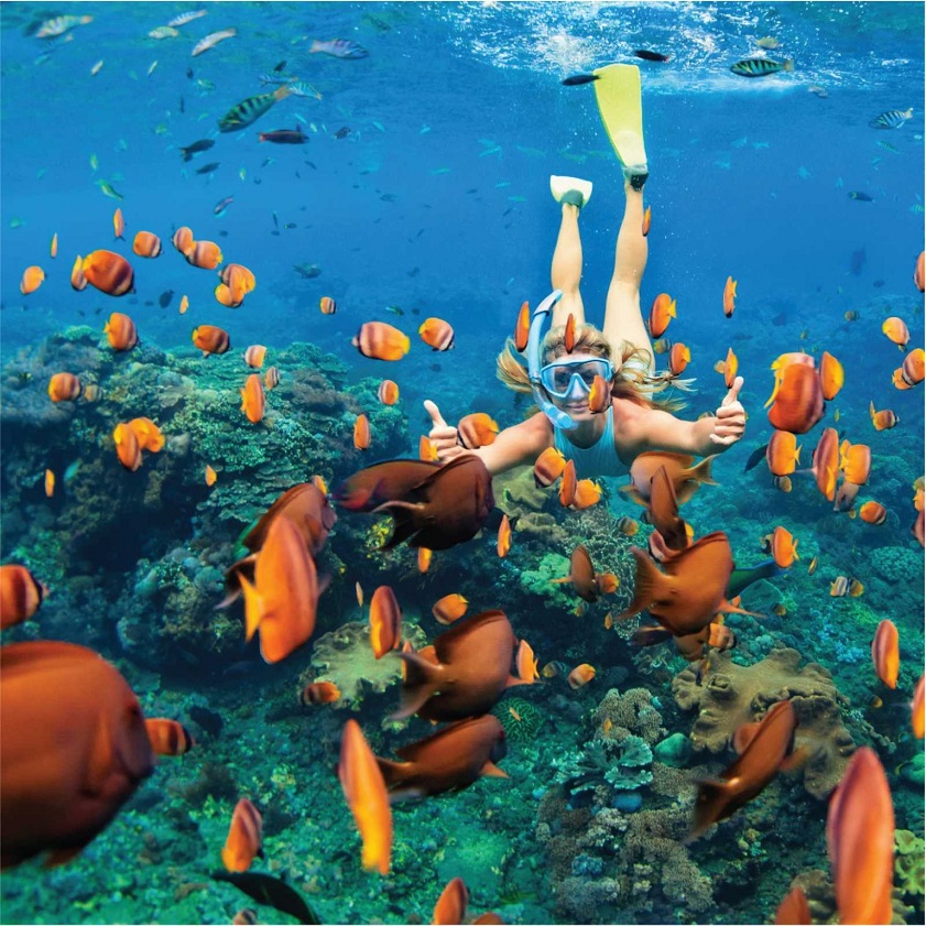 Dive into Nha Trang Snorkeling Adventures - Discover Underwater Wonders