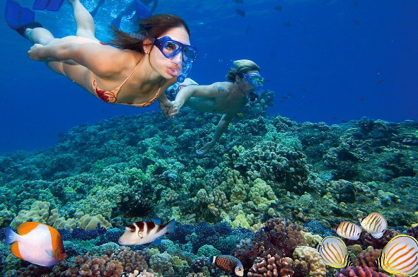 Dive into Nha Trang Snorkeling Adventures - Discover Underwater Wonders