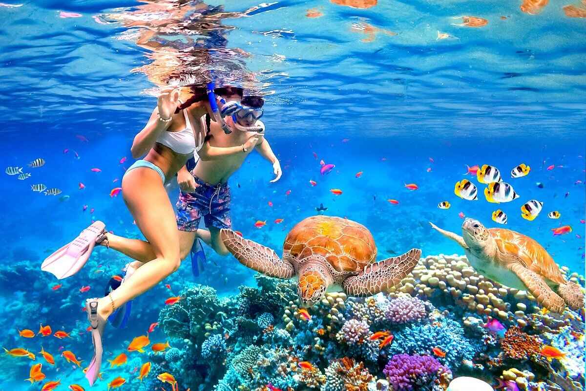 Dive into Nha Trang Snorkeling Adventures - Discover Underwater Wonders