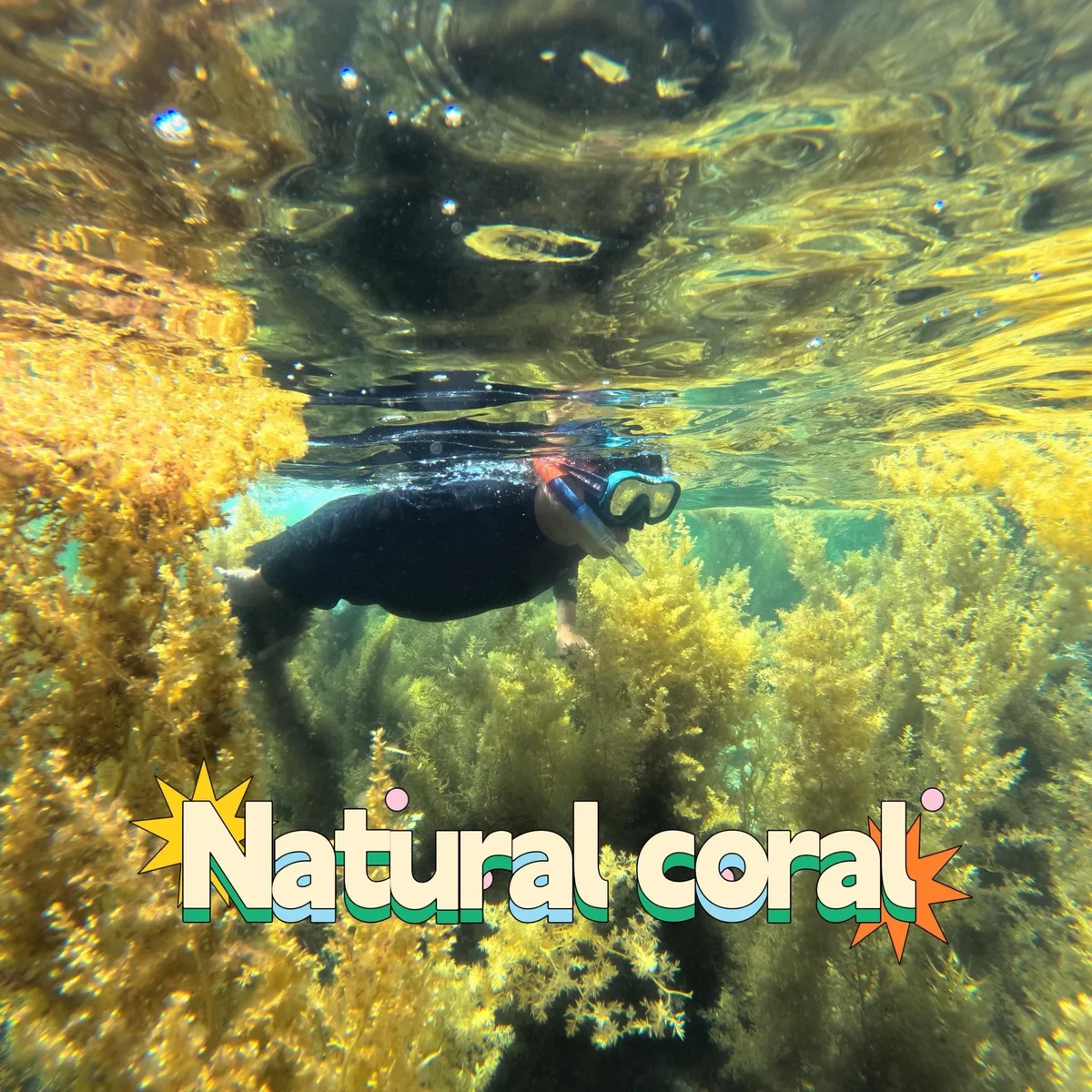 Nha Trang Snorkeling 3