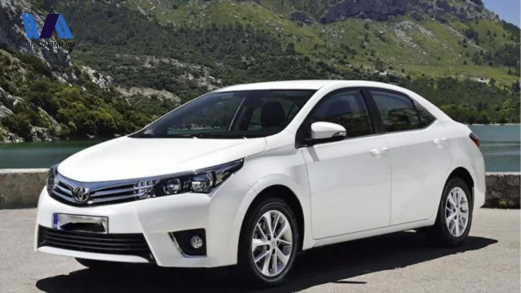 Dalat To Mui Ne Private Car 7