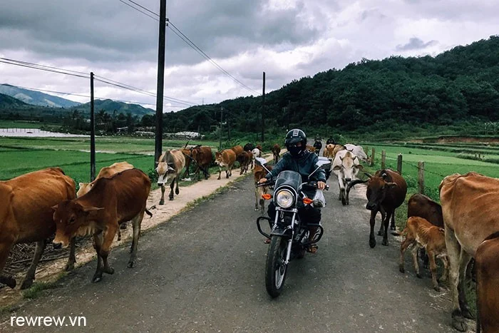 Easy Rider Dalat Motorbike Tour to Mui Ne – 2 Days 2