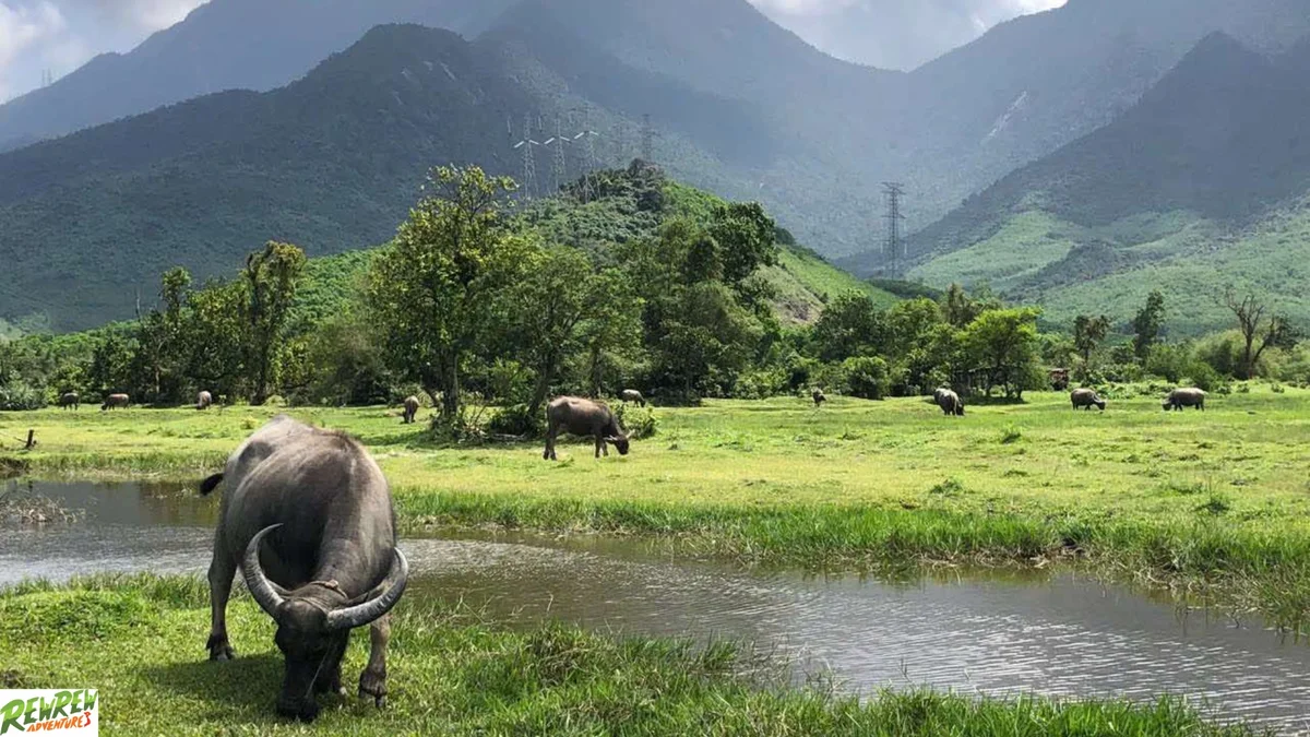 Hoi An to Hue Easy Rider Tour via Hai Van Pass – 1 Day 11