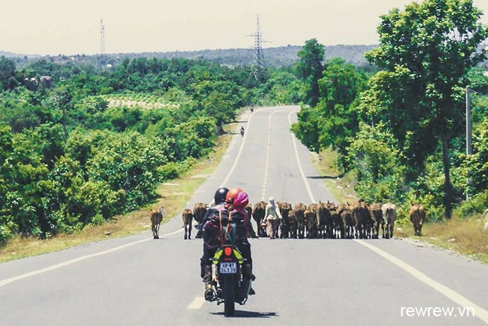 Easy Rider Motorbike Tour From Ho Chi Minh to Dalat 6