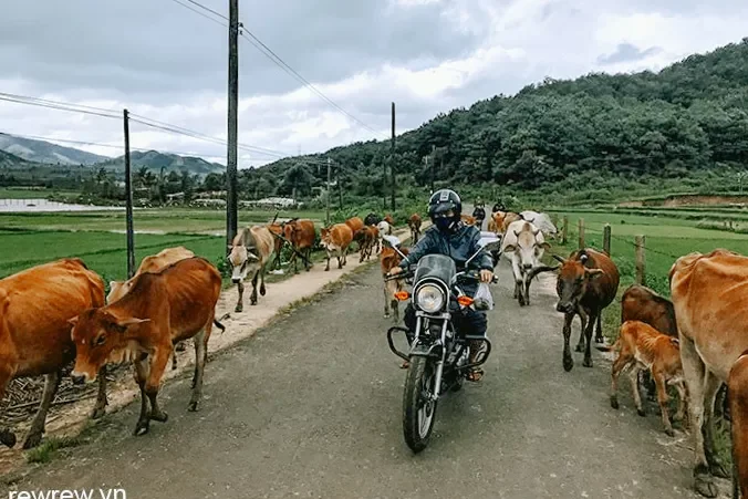 4-Day Saigon to Nha Trang Easy Rider Tour 11